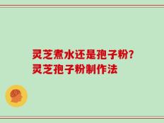 灵芝煮水还是孢子粉？灵芝孢子粉制作法