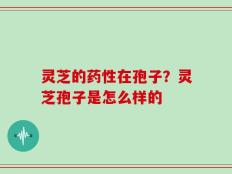 灵芝的药性在孢子？灵芝孢子是怎么样的