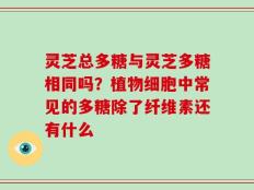 灵芝总多糖与灵芝多糖相同吗？植物细胞中常见的多糖除了纤维素还有什么