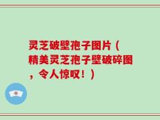 灵芝破壁孢子图片 (精美灵芝孢子壁破碎图，令人惊叹！)