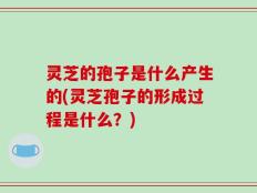 灵芝的孢子是什么产生的(灵芝孢子的形成过程是什么？)