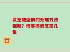 灵芝破壁前的处理方法视频？傅筹摘灵芝第几集