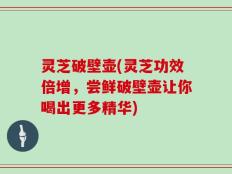 灵芝破壁壶(灵芝功效倍增，尝鲜破壁壶让你喝出更多精华)