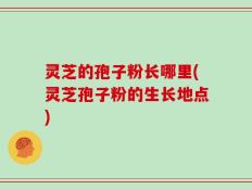 灵芝的孢子粉长哪里(灵芝孢子粉的生长地点)