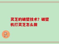 灵芝的破壁技术？破壁机打灵芝怎么做