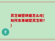 灵芝破壁研磨怎么吃(如何食用破壁灵芝粉？)