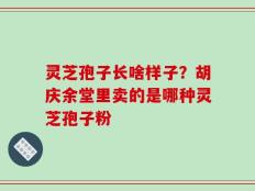 灵芝孢子长啥样子？胡庆余堂里卖的是哪种灵芝孢子粉