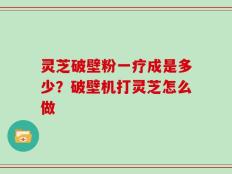 灵芝破壁粉一疗成是多少？破壁机打灵芝怎么做