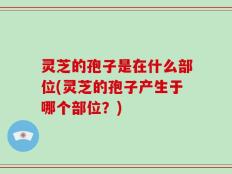 灵芝的孢子是在什么部位(灵芝的孢子产生于哪个部位？)
