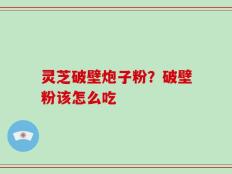 灵芝破壁炮子粉？破壁粉该怎么吃