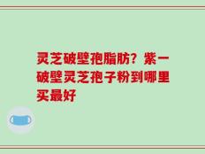 灵芝破壁孢脂肪？紫一破壁灵芝孢子粉到哪里买最好
