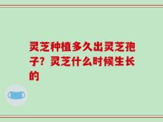 灵芝种植多久出灵芝孢子？灵芝什么时候生长的