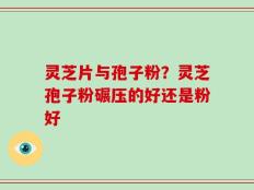 灵芝片与孢子粉？灵芝孢子粉碾压的好还是粉好