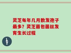 灵芝每年几月散发孢子最多？灵芝菌包菌丝发育生长过程