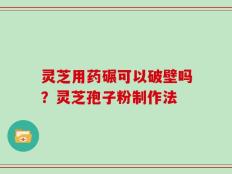 灵芝用药碾可以破壁吗？灵芝孢子粉制作法