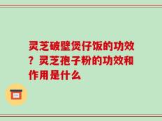灵芝破壁煲仔饭的功效？灵芝孢子粉的功效和作用是什么