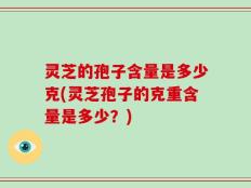 灵芝的孢子含量是多少克(灵芝孢子的克重含量是多少？)