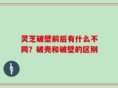 灵芝破壁前后有什么不同？破壳和破壁的区别