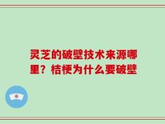 灵芝的破壁技术来源哪里？桔梗为什么要破壁