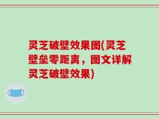 灵芝破壁效果图(灵芝壁垒零距离，图文详解灵芝破壁效果)