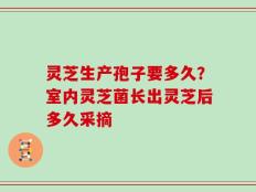 灵芝生产孢子要多久？室内灵芝菌长出灵芝后多久采摘