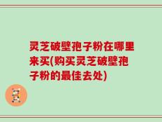 灵芝破壁孢子粉在哪里来买(购买灵芝破壁孢子粉的最佳去处)