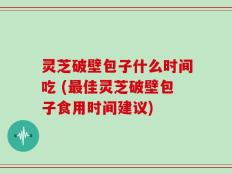 灵芝破壁包子什么时间吃 (最佳灵芝破壁包子食用时间建议)