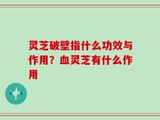 灵芝破壁指什么功效与作用？血灵芝有什么作用