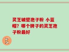 灵芝破壁孢子粉 小蓝帽？哪个牌子的灵芝孢子粉最好