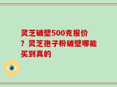 灵芝破壁500克报价？灵芝孢子粉破壁哪能买到真的