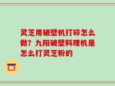 灵芝用破壁机打碎怎么做？九阳破壁料理机是怎么打灵芝粉的