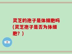 灵芝的孢子是体细胞吗(灵芝孢子是否为体细胞？)