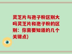 灵芝片与孢子粉区别大吗灵芝片和孢子粉的区别：你需要知道的几个关键点)