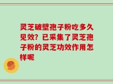 灵芝破壁孢子粉吃多久见效？已采集了灵芝孢子粉的灵芝功效作用怎样呢