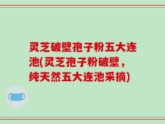 灵芝破壁孢子粉五大连池(灵芝孢子粉破壁，纯天然五大连池采摘)
