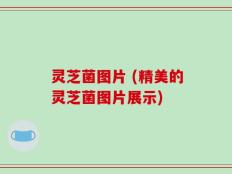 灵芝菌图片 (精美的灵芝菌图片展示)