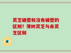 灵芝破壁和没有破壁的区别？薄树灵芝与赤灵芝区别