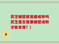 灵芝破壁就是磨成粉吗灵芝是否需要破壁成粉才能食用？)