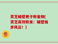 灵芝破壁袍子粉鉴别(灵芝高效粉末：破壁独步风云！)