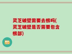 灵芝破壁需要去根吗(灵芝破壁是否需要包含根部)