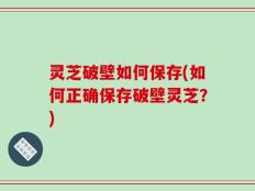 灵芝破壁如何保存(如何正确保存破壁灵芝？)