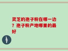 灵芝的孢子粉在哪一边？孢子粉产地哪里的最好