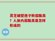 灵芝破壁孢子粉尿酸高？人体内尿酸高是怎样形成的