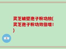 灵芝破壁孢子粉功放(灵芝孢子粉功效倍增！)