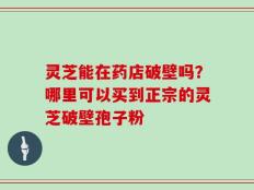 灵芝能在药店破壁吗？哪里可以买到正宗的灵芝破壁孢子粉