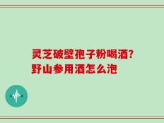 灵芝破壁孢子粉喝酒？野山参用酒怎么泡