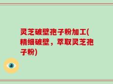 灵芝破壁孢子粉加工(精细破壁，萃取灵芝孢子粉)