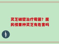 灵芝破壁治疗霉菌？居民楼里种灵芝有危害吗