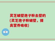 灵芝破壁孢子粉去壁的(灵芝孢子粉破壁，提高营养吸收)
