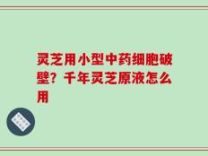 灵芝用小型中药细胞破壁？千年灵芝原液怎么用